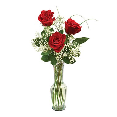Classic Bud Vase Roses