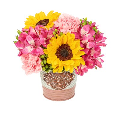 Spring Flowers & Garden Celebration
